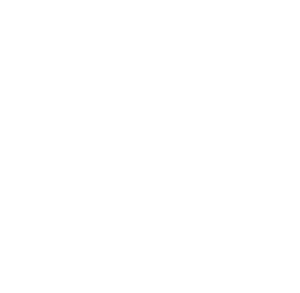 PARTNERSHIPS FOR THE GOALS Logo